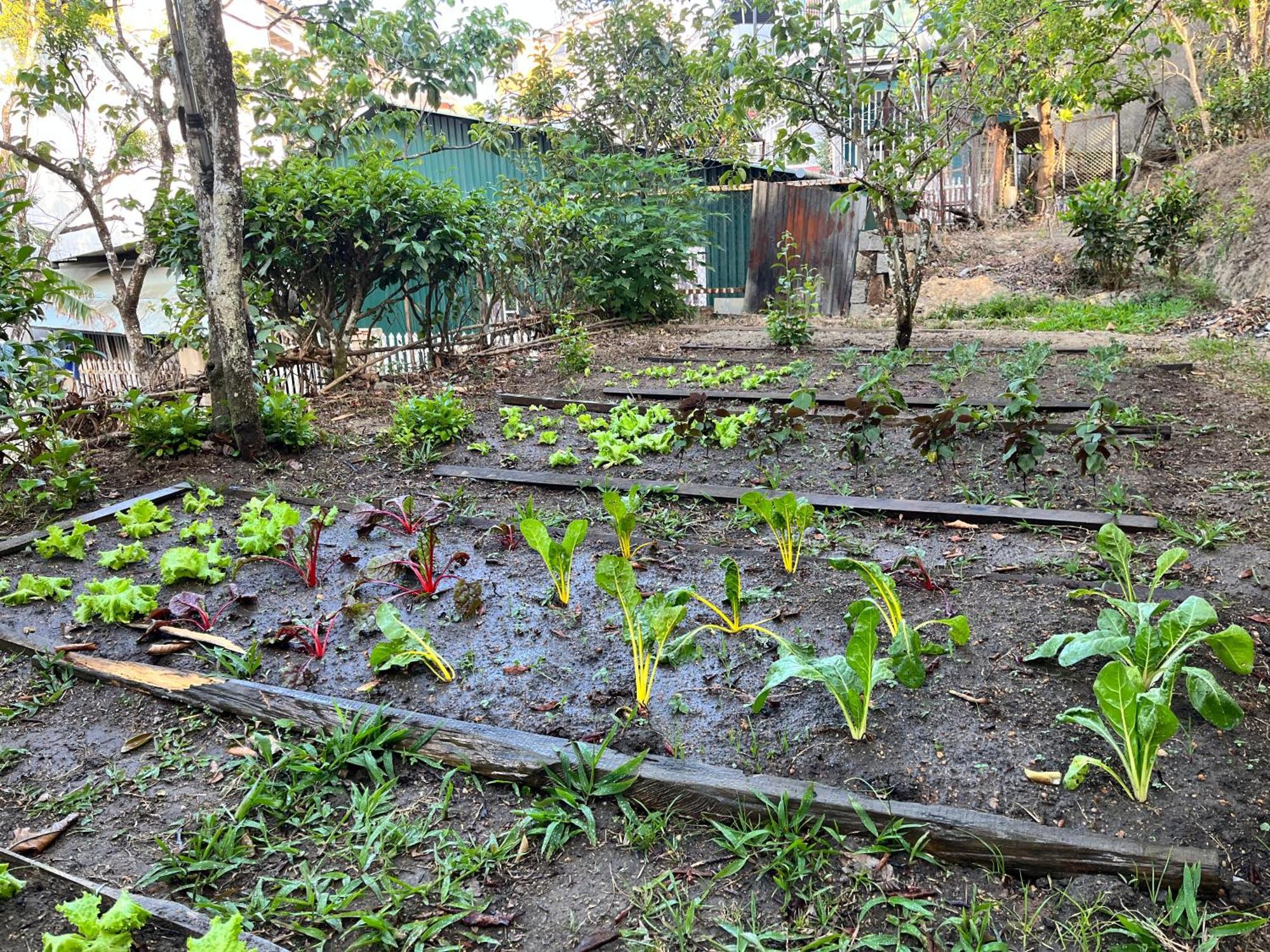 Nap O Teepee Homestay Dalat Bagian luar foto